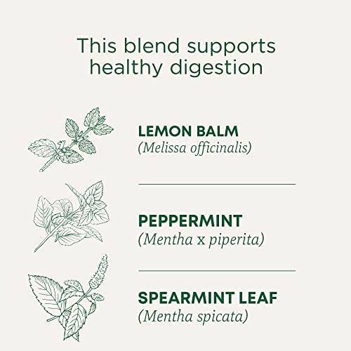Traditional Medicinals Triple Mint biljni detalji